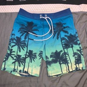 American Eagle Green/Blue Swim/Board Shorts